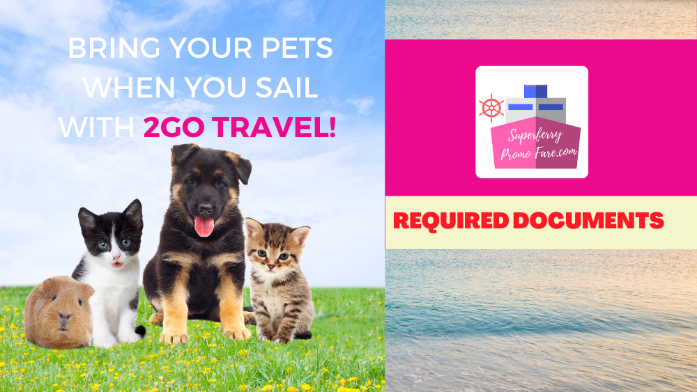 2Go Travel Requirements to Bring Pets Onboard 2Go Promos for 2024 to