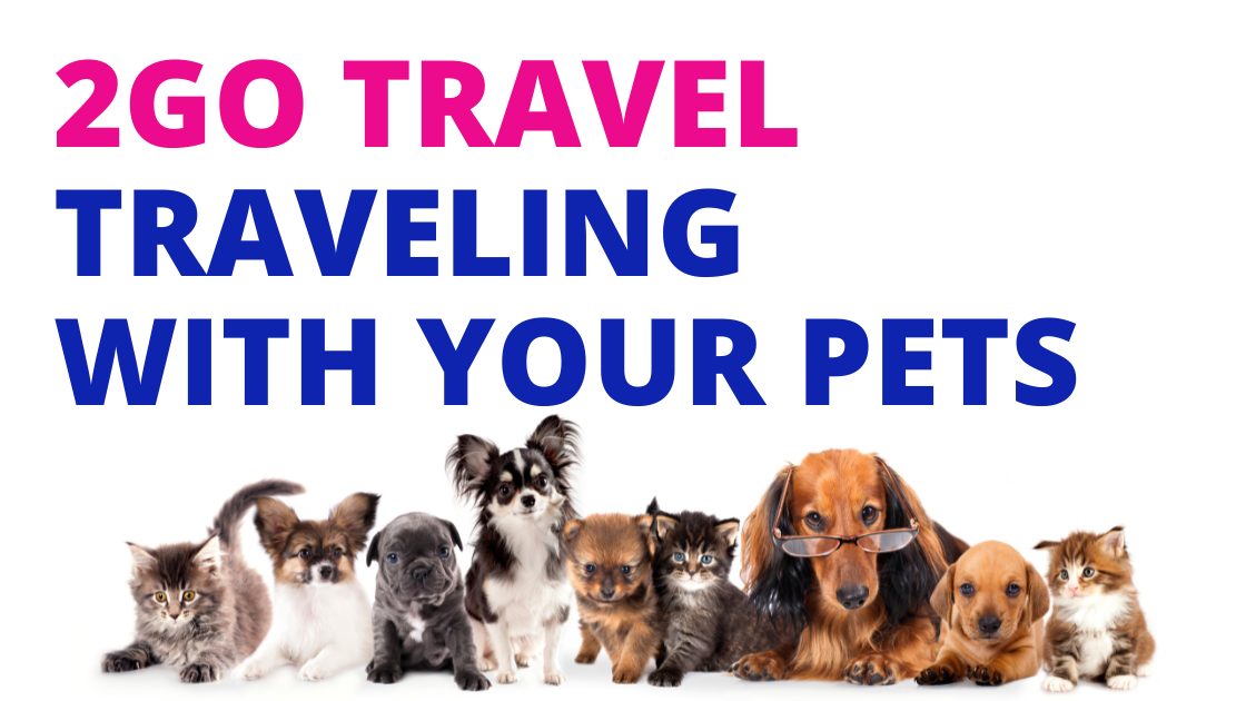 2go travel pet requirements